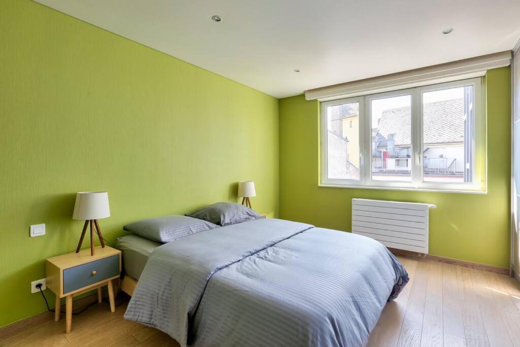 Appartement Spacieux Au Coeur De Štrasburk Exteriér fotografie